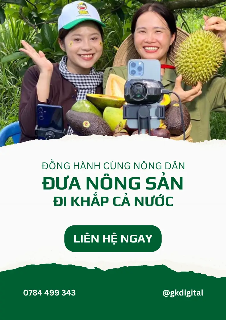 marketing cho nha vuon mobile